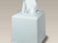 5.5 Porcelain Boutique Tissue Box.jpg